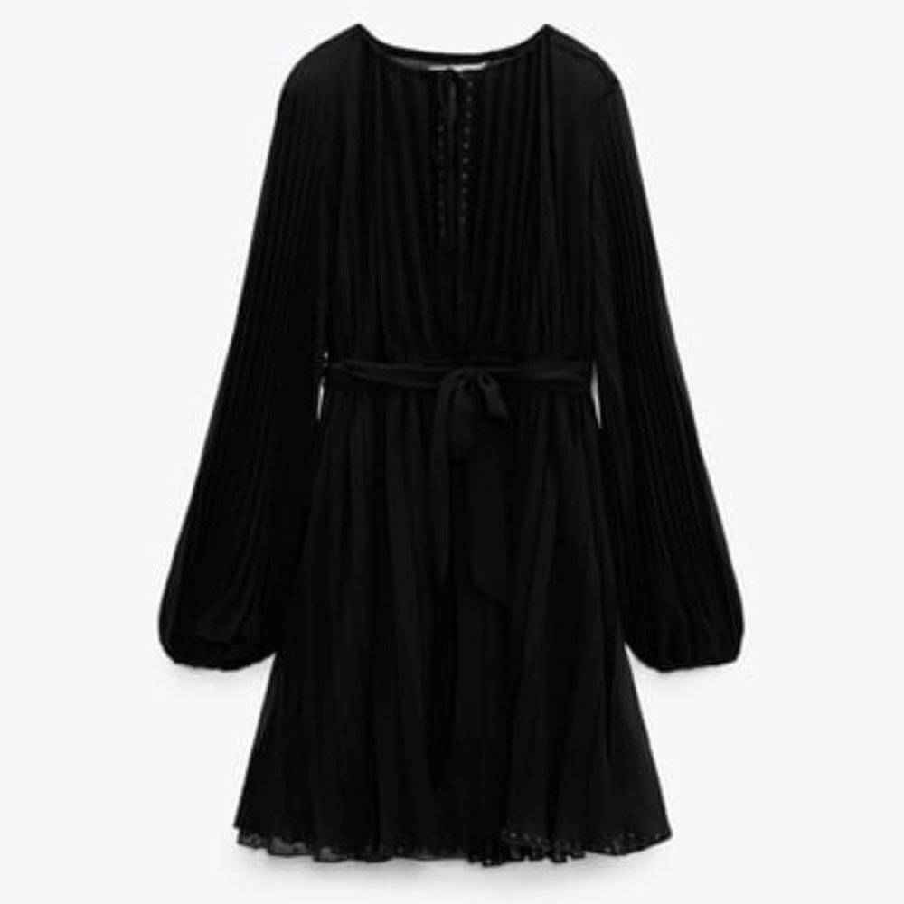 Zara Pleated Dress with Belt